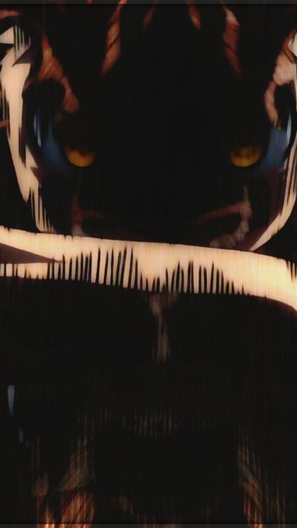 Anime Hunter x Hunter HD Wallpaper 6