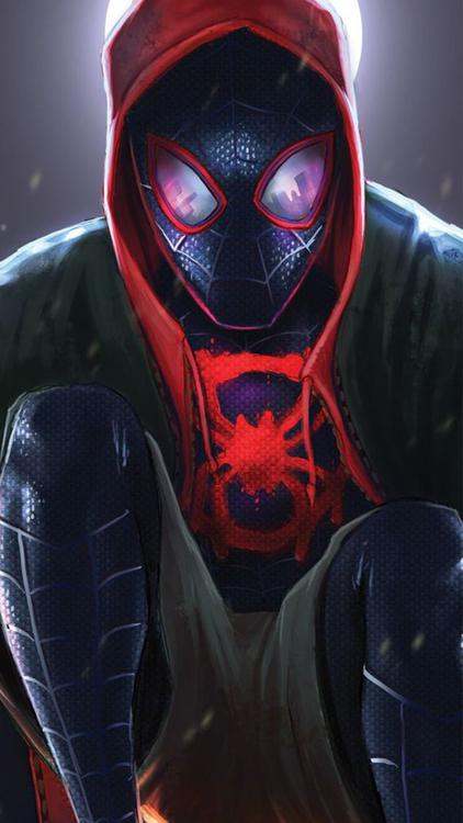 Spider Man Cool Spide HD Wallpaper 5